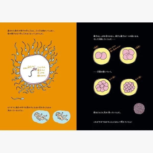 Hvordan Lager Man En Baby Anna Fiske japansk utgave bok