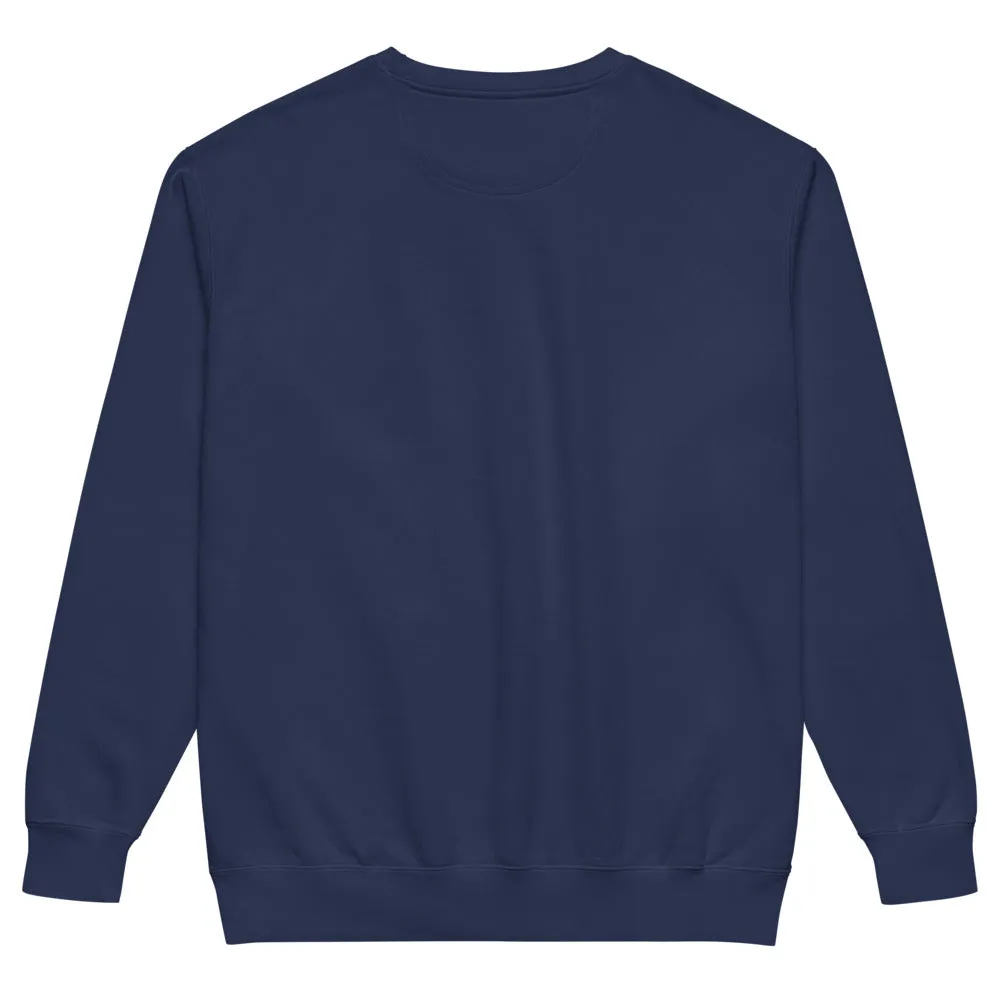 Batman Wonder Woman In the Lair of The Cheetah genser True Navy fleece